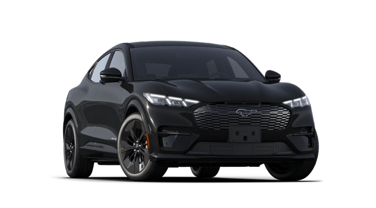 Mustang Mach-E® vehicle